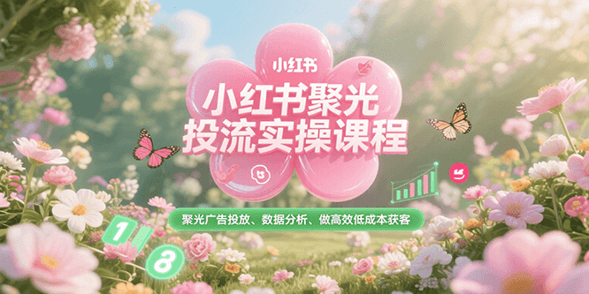 小红书聚光投流实操课程，聚光广告投放、数据分析、做高效低成本获客-清风