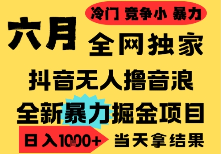 25年6月高爆抖音无人直播最新撸音浪掘金项目，小白可做，无脑日入1k+，门槛低可批量矩阵【揭秘】-清风