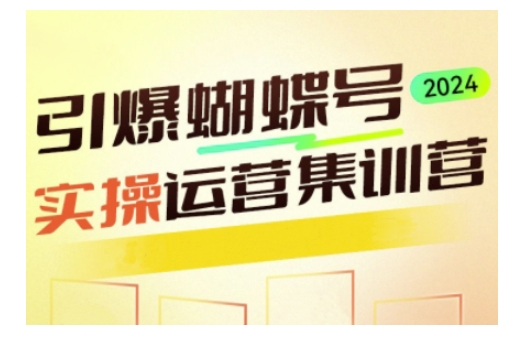 引爆蝴蝶号实操运营，助力你深度掌握蝴蝶号运营，实现高效实操，开启流量变现之路-清风