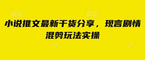 小说推文最新干货分享，现言剧情混剪玩法实操-清风