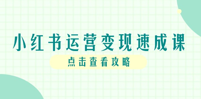 小红书运营变现速成课，账号搭建到暴力起号，个人IP全流程指南-清风