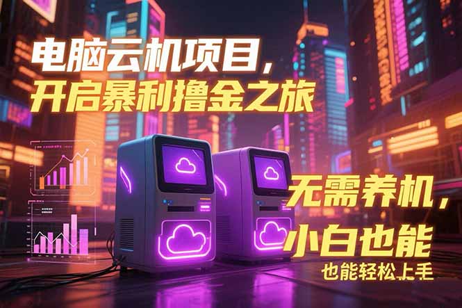 电脑云机项目 暴力撸金玩法，不需要养机 配置没有要求 单机100个窗口一…-清风