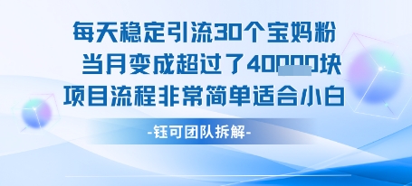 每天稳定引流30个人 当月变成超过了4个W项目流程非常简单适合小白-清风