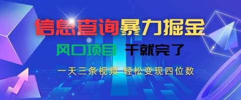 信息查询暴力掘金，一天三条视频，轻松变现四位数，风口项目干就完了【揭秘】-清风