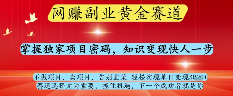 网创副业黄全赛道，掌握独家项目密码，知识变现快人一步，告别韭菜轻松实现单日变现1k+【揭秘】-清风
