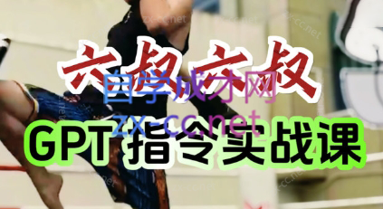 六叔的AI指令实战课(更新7月)-清风