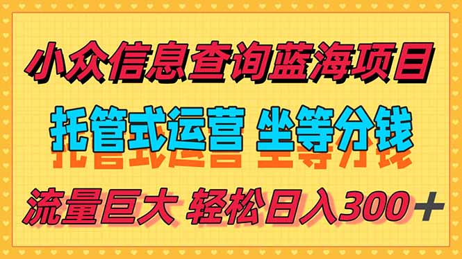 稳定日入300＋，小众信息查询蓝海项目，全程懒人式托管，解放你的时间-清风