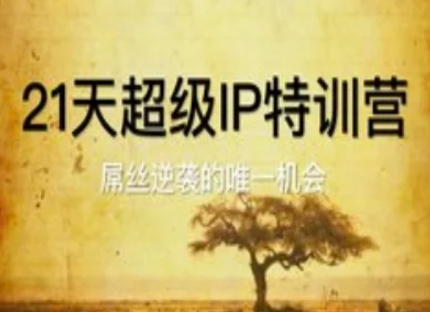 21天超级IP特训营，屌丝逆袭的唯一机会-清风
