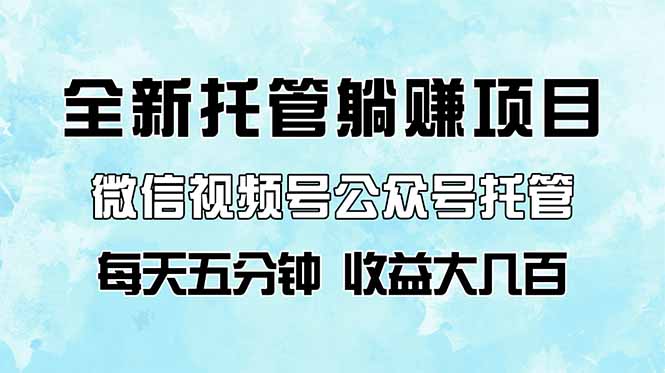 全新托管躺赚项目，微信视频号公众号托管代运营，每天五分钟，收益大几百-清风