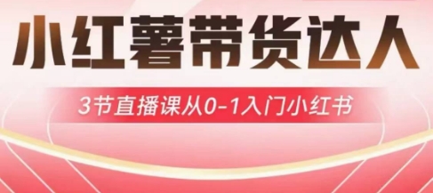 小红薯达人带货启航计划，3节直播课从0-1入门小红书-清风