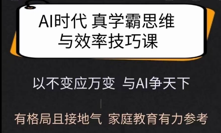 Ai时代真学霸思维与学习方法课，有格局且接地气，家庭教育有力参考-清风