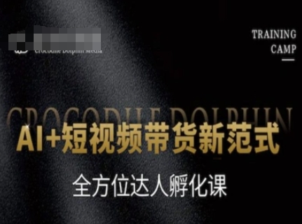 AI+短视频带货新范式，全方位达人孵化课-清风