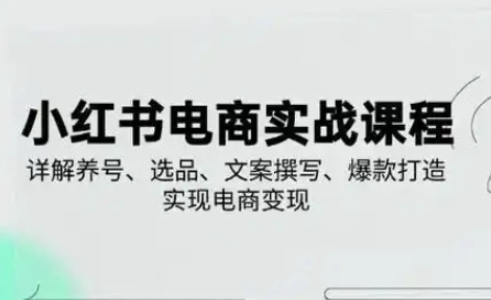 小红书从0-1实操课(2023-2025)，详解养号、选品、文案撰写、爆款打造实现电商变现-清风