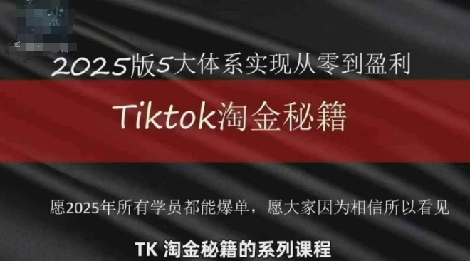 TikTok跨境2025淘金秘籍，​2025TikTok从0到盈利变现-清风