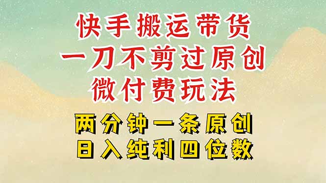 快手黑科技搬运带货，一刀不剪过原创，微付费投流玩法，轻松日入四位数…-清风