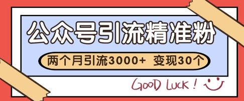 公众号精准粉引流玩法，2个月3000+精准粉，变现30个W【揭秘】-清风
