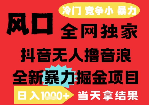 25年6月高爆抖音无人直播最新撸音浪掘金项目，解放双手小白可做，无脑日入1k+，门槛低【揭秘】-清风