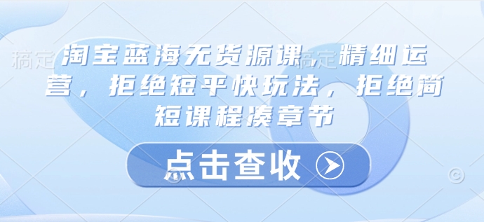 淘宝蓝海无货源课，精细运营，拒绝短平快玩法，拒绝简短课程凑章节-清风