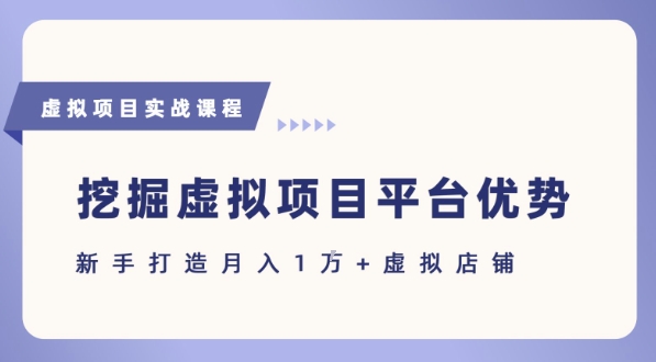 抓住虚拟项目各平台优势，新手轻松月入1W+(给出具体建议)-清风