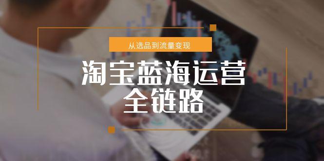 淘宝蓝海运营全链路，从选品到流量变现，小类目突围完整方案-清风
