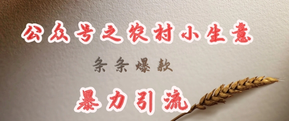 deepseek写农村小项目，条条爆款，暴力引流-清风