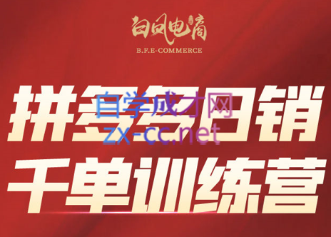 白凤电商·拼多多日销千单训练营(更新3月)-清风