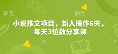 小说推文项目，新人操作6天，每天3位数分享课-清风