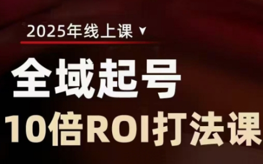 2025全域起号10倍ROI打法课，助你提升直播间的投资回报率-清风