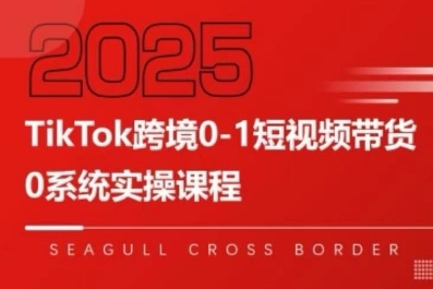 TikTok跨境0-1短视频带货，系统拆解TikTok跨境带货全链路，实现跨境可持续盈利-清风