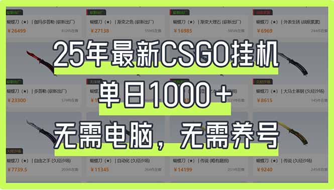 25年最新CSGO挂机系统，单日1000+，无需电脑，无需养号，0基础可上手-清风
