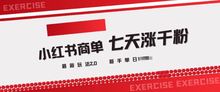 小红书商单2.0最新玩法，3天涨千粉单日变现多张-清风