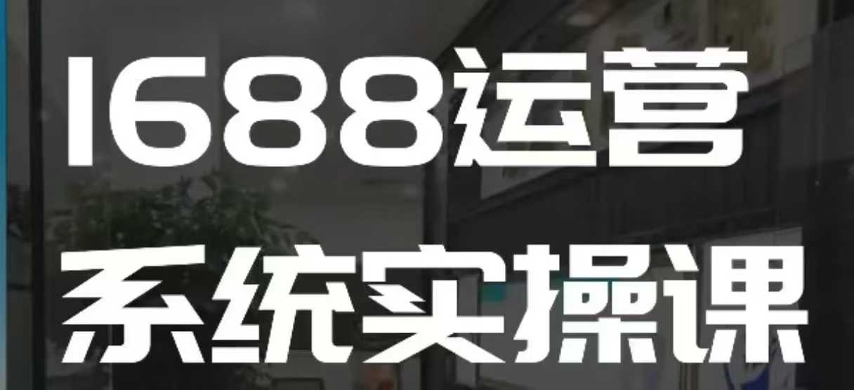 1688高阶运营系统实操课，快速掌握1688店铺运营的核心玩法-清风