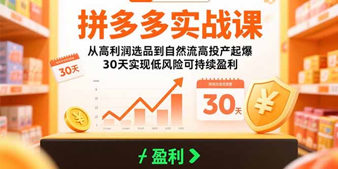 拼多多实战课：从高利润选品到自然流高投产起爆 30天实现低风险可持续盈利-清风