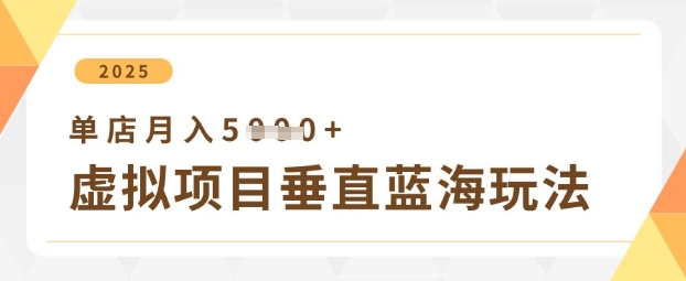 虚拟项目垂直玩法，实现单店月入5k+-清风