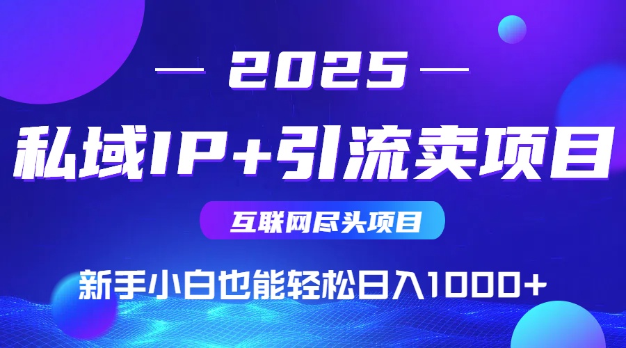 2025网创尽头项目，私域IP+引流，新手小白也能在家日入1000+-清风