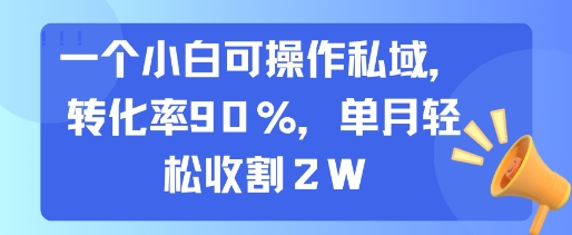 一个小白可操作私域，转化率90%，单月轻松收割2W-清风