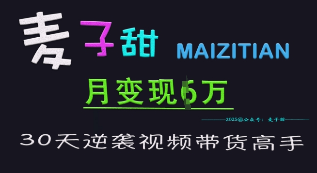 麦子甜30天逆袭视频带货高手，单月变现6W加特训营-清风
