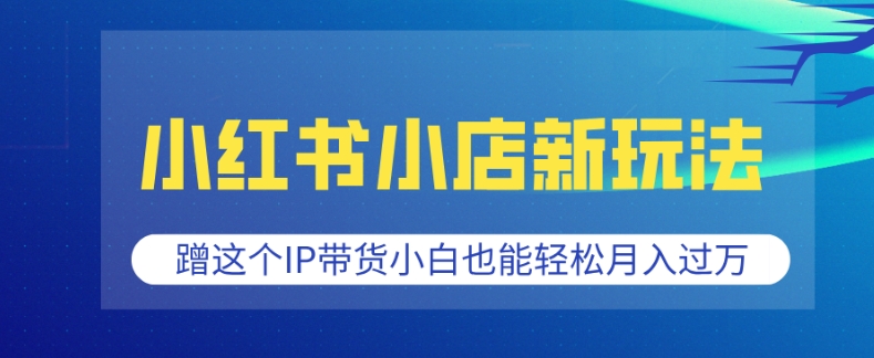 小红书小店新玩法，蹭这个IP带货，小白也能轻松月入过W【揭秘】-清风