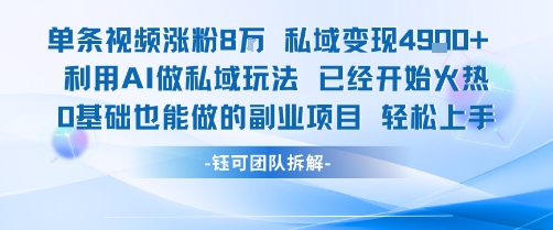 单条视频私域变现4.9k+利用AI做私域玩法 已经开始火热0基础也能做的副业项目轻松上手-清风