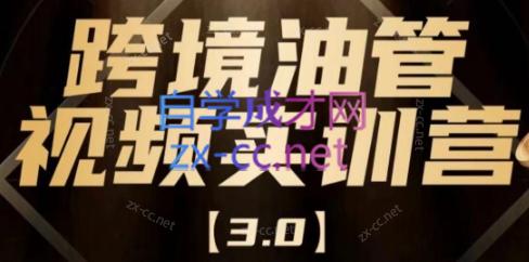 阿蔺Leo·跨境油管视频YouTube实训营(更新2025)-清风