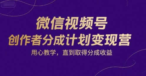 微信视频号创作者分成计划变现营，用心教学，直到取得分成收益-清风
