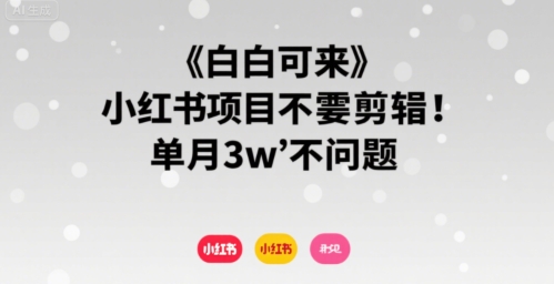 小白可来 小红书项目不需要剪辑 单月3w不是问题-清风