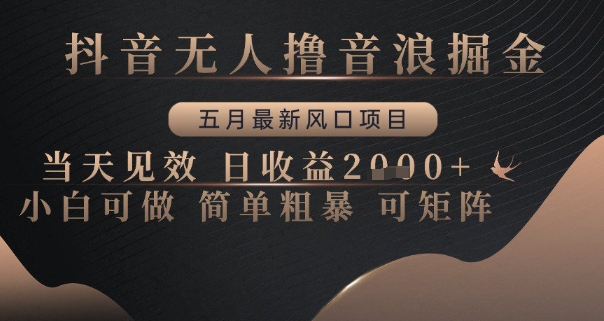 抖音无人撸音浪掘金，五月最新风口项目，当天见效，日收益多张，小白可做简单粗暴可矩阵【揭秘】-清风