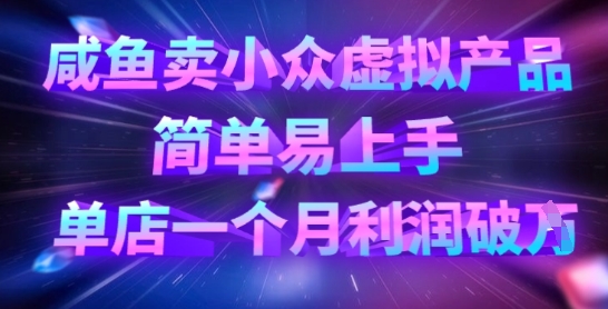咸鱼卖小众虚拟产品，简单易上手，单店一个月利润破W-清风