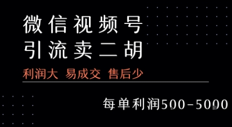 视频号卖二胡教程，利润大 易成交 售后少，一单利润5张+-清风