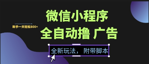 微信小程序全自动撸广告项目，彻底解决没流量的问题，新手一天8张+【揭秘】-清风
