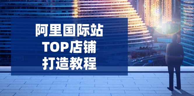 阿里国际站TOP店铺打造教程：涵盖平台到高阶，解决运营难题，提升询盘-清风