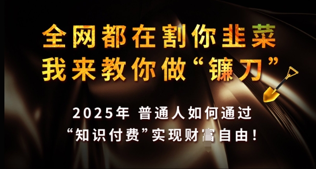 全网都在割你韭菜，我来教你做镰刀，2025年普通人如何通过 知识付费 实现财F自由【揭秘】-清风