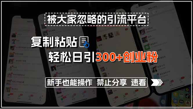 被大家忽略的引流平台，复制粘贴轻松日引300+创业粉，新手也能操作，禁…-清风