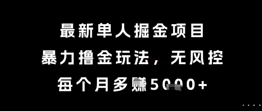 最新单人掘金项目，暴力撸金玩法，无风控，每个月多挣5k+【揭秘】-清风